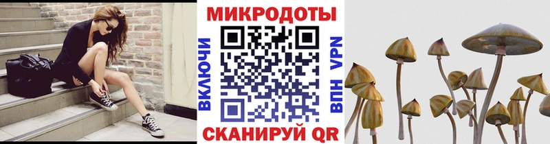 Галлюциногенные грибы GOLDEN TEACHER  Купить где  Электросталь 